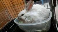 https://images.plurk.com/7pH7t4AEqcH1yldqXe4xp7.jpg