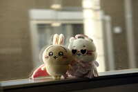 https://images.plurk.com/7pLr0FvdxYmn34KkRah56V.jpg