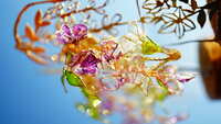 https://images.plurk.com/7pVcSgU4NMQPSs6iuWc6ky.jpg