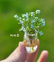 https://images.plurk.com/7pWVKCMnpzzVBqgWMsaIzG.jpg