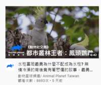 https://images.plurk.com/7pmgwJI1saMUmp3kSd5Nv5.png