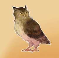 https://images.plurk.com/7psLkgIEFs99SVhD9EwoKZ.png