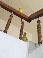 https://images.plurk.com/7puIzuYbrJH5mAhzCbn71W.jpg
