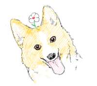 https://images.plurk.com/7pyVgHDxZRy657h3uNGeM3.png