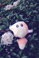 https://images.plurk.com/7qN43o6Nt19VyN3fThDSZj.jpg