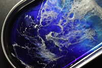 https://images.plurk.com/7qPES744tEYcz19fxhl7ro.jpg