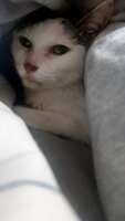 https://images.plurk.com/7qVChMcwZBypSkjzhmZzuK.jpg