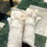 https://images.plurk.com/7qVJXtNBOKvNla1l5OGfJI.jpg