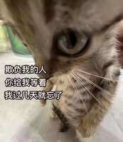 https://images.plurk.com/7qdMV7ASPrfhitaC3KnR84.jpg