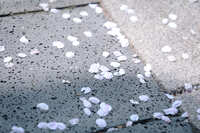 https://images.plurk.com/7qhb9lI6hd7X8nNI4XZhDZ.jpg
