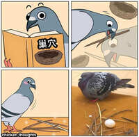 https://images.plurk.com/7qtZCup0fePQXCTKnIpMX.jpg