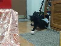 https://images.plurk.com/7r86CREmjXOU1Ul6HQnMaq.jpg