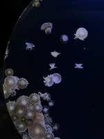 https://images.plurk.com/7r9bpfk3nHvenievFFxvJH.jpg