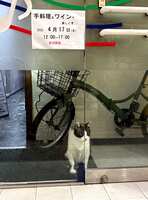 https://images.plurk.com/7r9nsTlTceuSPCDyJcaTJl.jpg