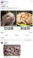 https://images.plurk.com/7rFbGtqNDDxm27GOeAHmrz.png