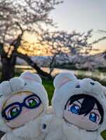 https://images.plurk.com/7rJq0zCRK3bBMxXCETfAHM.jpg