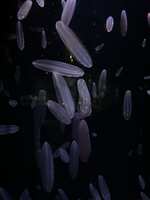 https://images.plurk.com/7rMi17SkJiyfLO0tQq6wTl.jpg