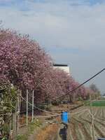 https://images.plurk.com/7rQEbPexlS68b1s4Nv5QZm.jpg