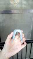 https://images.plurk.com/7rYRB0BWHaM0pdaMz1OUCK.jpg