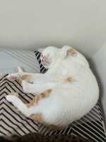 https://images.plurk.com/7ratYGcuxD4b2QuWQnbp7G.jpg