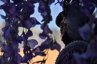 https://images.plurk.com/7rbes0IbxMtrRIZezCbVS5.jpg