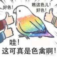 https://images.plurk.com/7re1C2DtBtgBH48Nb4Q82v.png