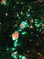 https://images.plurk.com/7rfwXpuRzg9OsrTu7J63wl.jpg