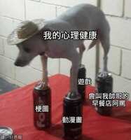 https://images.plurk.com/7rgFThle5SZwtHa0WqEH5P.jpg