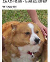 https://images.plurk.com/7rh4KkfJgdkfMo96aPQePc.jpg