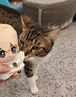 https://images.plurk.com/7rkELM2RVCTSHl8LVXpNAG.jpg