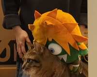 https://images.plurk.com/7rmDdUZZ1kArK0xH3wvafb.png
