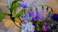 https://images.plurk.com/7rmHf4a25r7W2ljLFvgeRv.jpg