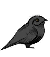 https://images.plurk.com/7rmNkjACeU1FubaVtUi99V.jpg