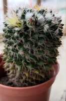 https://images.plurk.com/7rob4sePWjwlPWtMu9ImMV.jpg
