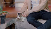 https://images.plurk.com/7rubJtSK5Ag4sdoNQtZLap.jpg