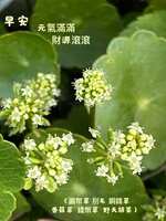 https://images.plurk.com/7s0J7KxGsq7QfYGTlEzpw4.jpg