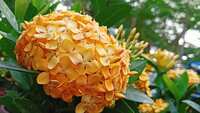https://images.plurk.com/7s5dGo2zwfgmK414L9gLau.jpg