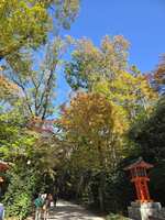 https://images.plurk.com/7sA4F6p2oYrsAUMel8jiWp.jpg