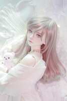 https://images.plurk.com/7sAxVRhGbJ2hBeatPVu3lZ.jpg
