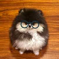 https://images.plurk.com/7sC4xCYDW0TWqw749Nv9C5.jpg