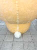 https://images.plurk.com/7sIzQjJQo9FngXIbnOqWYu.jpg