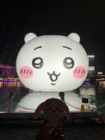 https://images.plurk.com/7sLMUIYXu4ARhm2MD0cdyx.jpg
