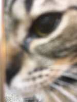 https://images.plurk.com/7sUiezqfK64RDwiz98t0sr.jpg