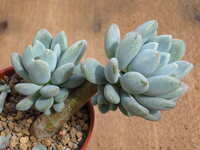 https://images.plurk.com/7sVlKs2zoZ5JRVdGswd8tv.jpg