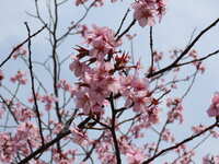 https://images.plurk.com/7sbteKk1qKtT8QPcItQZX9.jpg