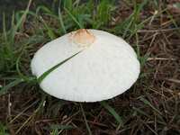 https://images.plurk.com/7scY77F5IuGWB9qzHIFcU1.jpg