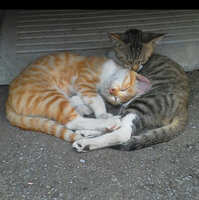 https://images.plurk.com/7sdwsDQVnfIMS0ZPCyEtSs.jpg