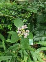 https://images.plurk.com/7se32ZstzvB7Eq5GzDgQQq.jpg