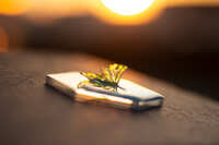 https://images.plurk.com/7sl9Un0UfZG3zKQYdO8HHU.jpg