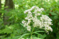 https://images.plurk.com/7t27QeYUfomtm71OFDsbJN.jpg